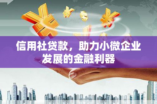 单县信用社贷款，助力小微企业发展的金融利器