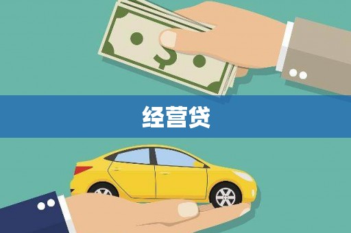 单县经营贷