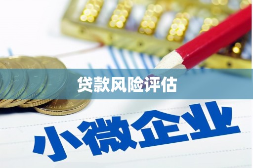单县贷款风险评估