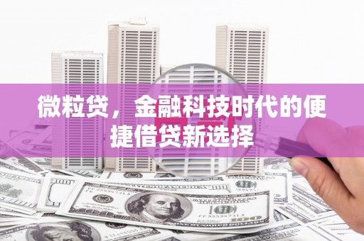 单县微粒贷，金融科技时代的便捷借贷新选择