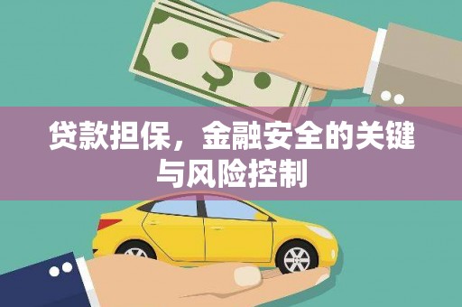 单县贷款担保，金融安全的关键与风险控制