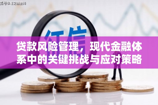 单县贷款风险管理，现代金融体系中的关键挑战与应对策略