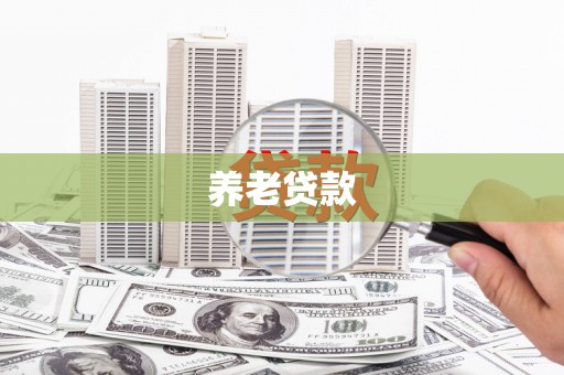 单县养老贷款
