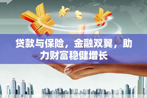 单县贷款与保险，金融双翼，助力财富稳健增长