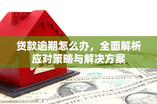 单县贷款逾期怎么办，全面解析应对策略与解决方案
