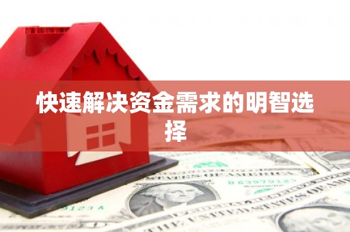 单县快速解决资金需求的明智选择