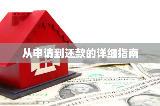 单县从申请到还款的详细指南