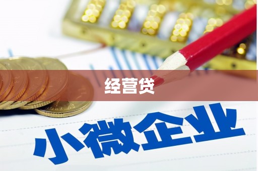 单县经营贷
