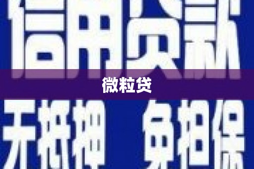 单县微粒贷
