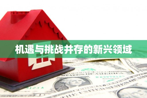 单县机遇与挑战并存的新兴领域