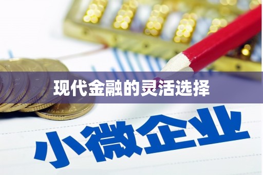 单县现代金融的灵活选择