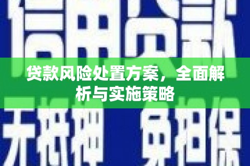 单县贷款风险处置方案，全面解析与实施策略
