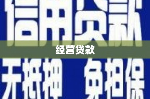 单县经营贷款