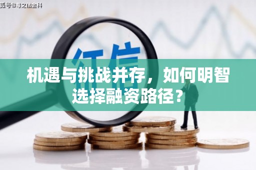 单县机遇与挑战并存，如何明智选择融资路径？