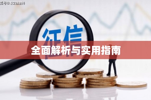 单县全面解析与实用指南