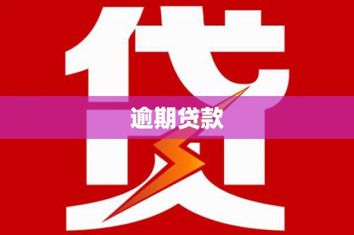 单县逾期贷款