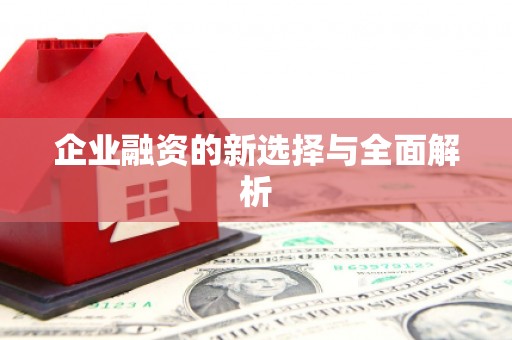 单县企业融资的新选择与全面解析