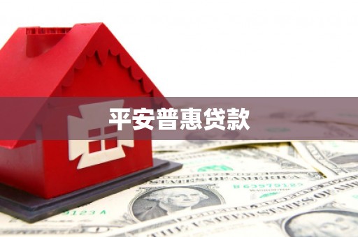 单县平安普惠贷款