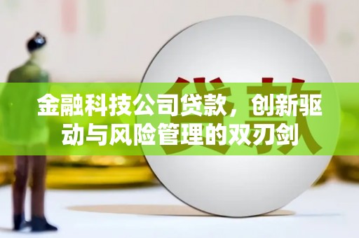 单县金融科技公司贷款，创新驱动与风险管理的双刃剑